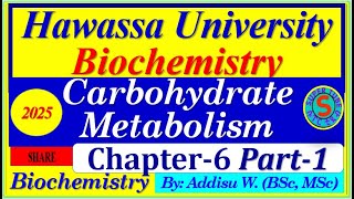 carbohydrates metabolism part1 interview exam digestion biochemistry 2024 [upl. by Barnebas]