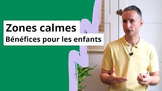 Zones calmes  bénéfices pour la santé des enfants [upl. by Wiburg]