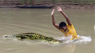 Crocodile Attack Hunter at Fishing Time  Fun Made Movie of Crocodile Attack [upl. by Elisa500]