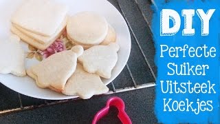 HET ULTIEME KOEKJES RECEPT die niet uitloopt DIYVEMBER dag 12 [upl. by Clova]