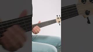 Solid Body 4String Sunburst Fretless U•BASS® [upl. by Gschu]