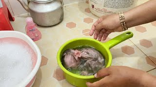 Baby Monkey DORN Bathing Routine In Morning [upl. by Vandyke]