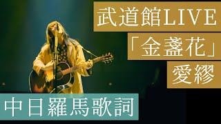 Aimyon愛繆 『金盞花』LIVE 【愛繆武道館 1995】中字日語歌詞 [upl. by Arratahs]