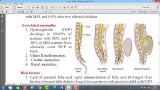 Spinal Dysraphism Lec 1  Neurosurgery [upl. by Dnomyad]