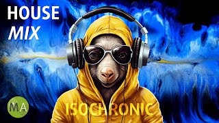 Peak Focus for Complex Tasks House Study Music Aardvark Mix with Isochronic Tones [upl. by Ecyob]