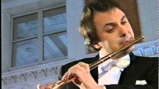 Mercadante Flute concerto Final [upl. by Nnyrb]