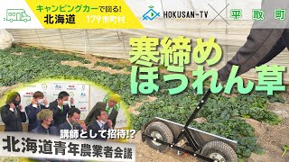 【平取町】北海道青年農業者会議の裏側と平取町の冬名物『寒締めほうれん草』from 4Hクラブ～北海道キャンピングカー冒険 146179市町村 [upl. by Zebapda259]