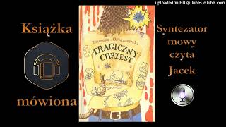 5 Kapitan Tomasz Rajski Tragiczny chrzest audiobook cz 12  11 [upl. by Neitsirk284]