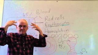 Blood lesson 2 Red blood cells and white cell counts [upl. by Enelime]