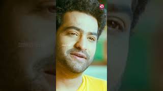 Entha Kavale Neeku  Brundavanam  jrntr samantha kajalagarwal  Sun NXT Telugu [upl. by Brandyn]