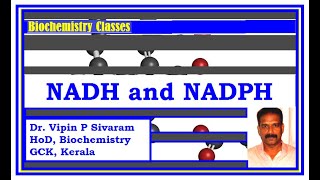 NADNADH and NADPNADPH [upl. by Schiro]