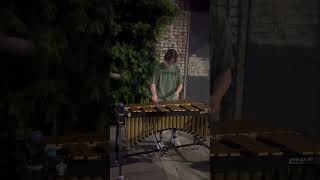 Cingular ringtone vibraphone cover w jirvinemusic [upl. by Sivrup]