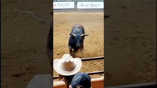 Texas Stockyards Rodeo Fort Worth  Cowtown [upl. by Kcirddot]