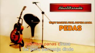 Wany Hasrita feat Sophia Liana  Pedas  Karaoke Versi Akustik [upl. by Worrad]