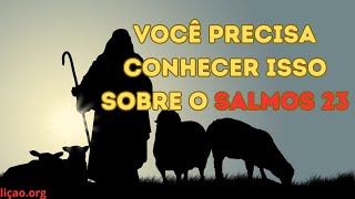 Terça 24092024 Salmos 23 Meditação matinal [upl. by Krute248]