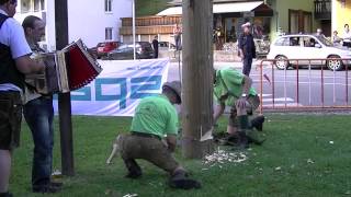 Der Maibaum fällt in Gußwerk bei Mariazell [upl. by Warrenne52]