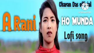 A Rani slowed Reverb 🎵 lofi song ho Munda 202425purtystarchoudhrymundaCharanDasofficial [upl. by Epul]