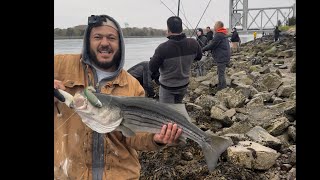 Cape cod canal fishing 2024 [upl. by Lledo]