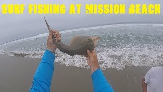 Arizona Anglers Go To San Diego  Surf Fishing for Surf Perch Corbina and Shovelnose [upl. by Eiznekam]