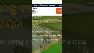 pm kisan beneficiary status checkpm kisan beneficiary status checkodisha shorts shortvideo [upl. by Dimond]