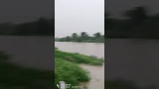 Tenali nadi Auraiya gaon jila raisen Madhya Pradesh [upl. by Akerdal485]