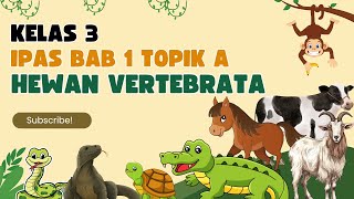 Hewan Vertebrata dan Contohnya IPAS Kelas 3 Bab 1 Topik A Kurikulum Merdeka [upl. by Arehsat]