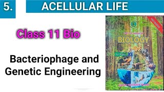 Bacteriophage and Genetic Engineering  Acellular Life chapter 5 [upl. by Procter]