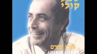 אהרן עמרם אם ננעלו ב Aharon Amram [upl. by Imelda841]