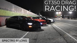 16 Shelby GT350 14 Mile  12917115mph  Incredible sound [upl. by Elacim]