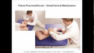 Genu Manual Therapy Test and Mobilization Treatment Techniques [upl. by Ednutabab]