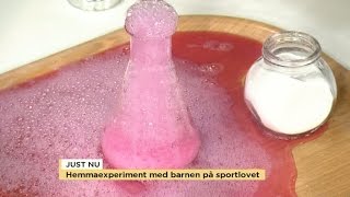 Testa skojiga experiment med barnen hemma  Nyhetsmorgon TV4 [upl. by Ermeena]