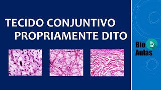 Tecido Conjuntivo Propriamente Dito Frouxo e Denso  Histologia Bio Aulas [upl. by Dre]