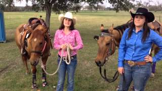 Rodeo road with Fallon Taylor goliad feat Ashley amp Lacey dynastyhorsescom [upl. by Molli]