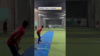 Bowler Pace Short Ball Bouncers 🔥Pace Mania On Cricket Pitch To Batsman Shots 🏏 cricket shorts [upl. by Adal]