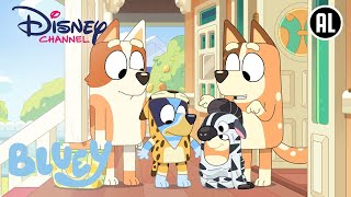 Bluey  Onesies  Disney Channel NL [upl. by Aniled]