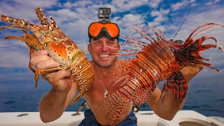 First Lobster amp Lionfish of the New Year Catch Clean Cook Best Food Ever [upl. by Ardnuyek]