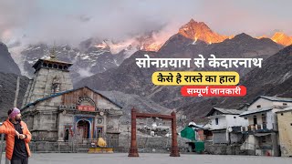 kedarnath Trek 2024 Information  Sonprayag to Kedarnath Route  Musafir stories vlog [upl. by Dulcea]