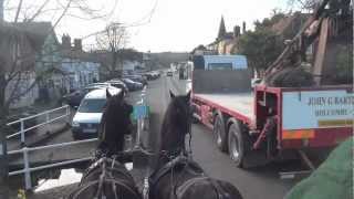 Driving an illmatched pair of Friesians and why they are not suitable for commercial work [upl. by Hewie]