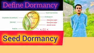 What is Seed Dormancy  Causes Of Seed Dormancy class bs botany [upl. by Anuahsat398]