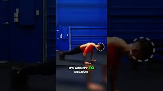 Unlock Your Push Up Strength Rapid Improvement Guaranteed [upl. by Syverson]