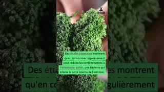 Les secrets du brocoli potager permaculture jardin [upl. by Riedel692]