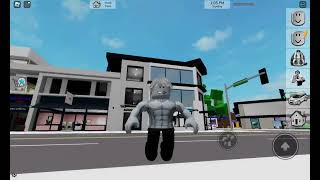 gigachadRoblox [upl. by Nnaeilsel742]