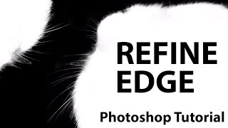 Photoshop CS5  Refine Edge [upl. by Allerim]