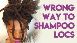 Is There a Wrong Way To Shampoo Your Locs [upl. by Enisaj]