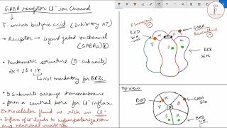 Ligand gated ion channel receptors pharmacology of barbiturates and benzodiazepines GABA [upl. by Aitselec]