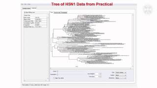 2 Phylogenetics amp Phylogeographylecturepart 2 [upl. by Rekcut]