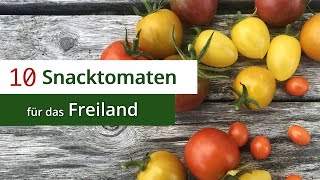 10 Snacktomaten für das Freiland  Robust amp Gesund gegen die Krautfäule [upl. by Cheney]