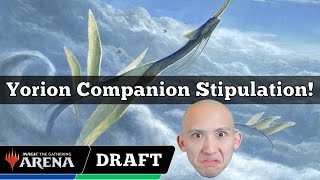 Yorion Companion Stipulation  Arena Cube Draft  MTG Arena [upl. by Oren201]