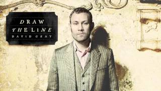 David Gray  Jackdaw Official Audio [upl. by Okier580]