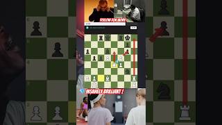 Insane Check Mates chess yt [upl. by Eixid]